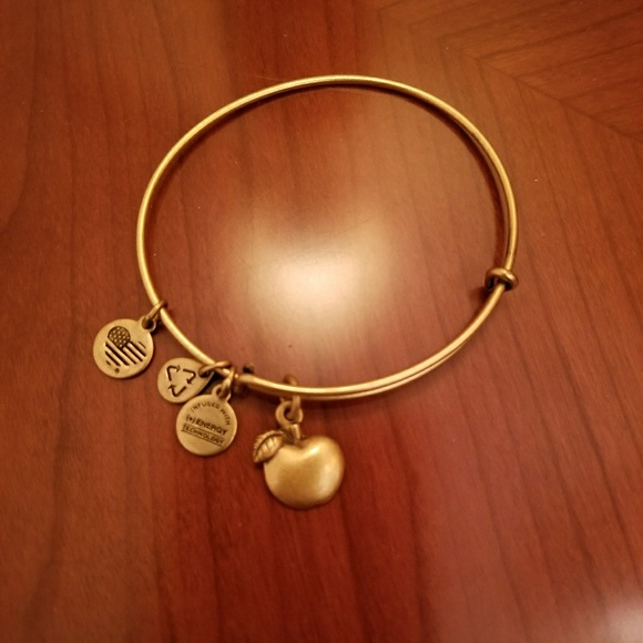Alex and Ani Jewelry - Alex & Ani Apple Bangle
